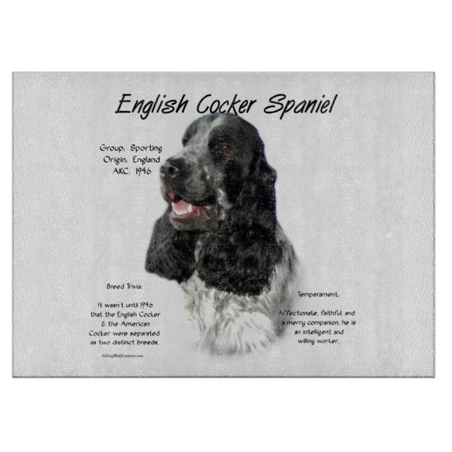 Parti English Cocker Spain History (Framsidan)