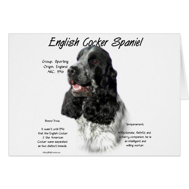 Parti English Cocker Spain History Hälsningskort (Framsidan Horizontal)
