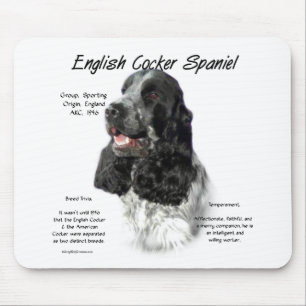 Parti English Cocker Spain History Musmatta