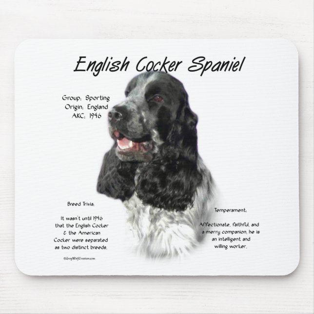 Parti English Cocker Spain History Musmatta (Framsidan)