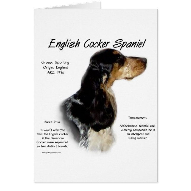Parti Roan English Cocker Spain History Hälsningskort (Framsidan)