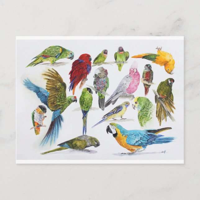 Partier på partier och partier av gåvor vykort (Framsida)