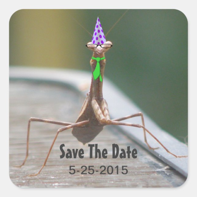 Partiets Bug Sticker Fyrkantigt Klistermärke (Framsida)