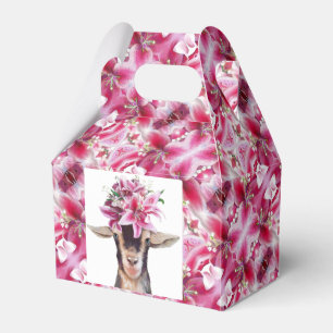 Partiets favoritbox (flera stilar) - Lilly the Goa Presentaskar