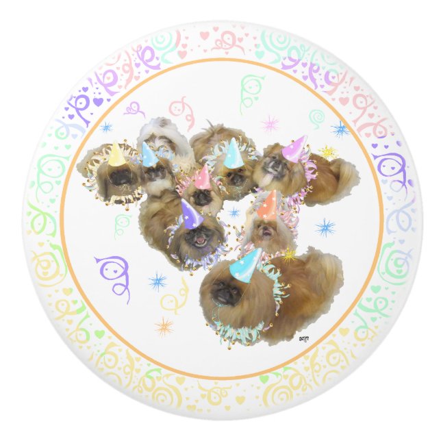 Partigrupp Knopp (Framsidan)