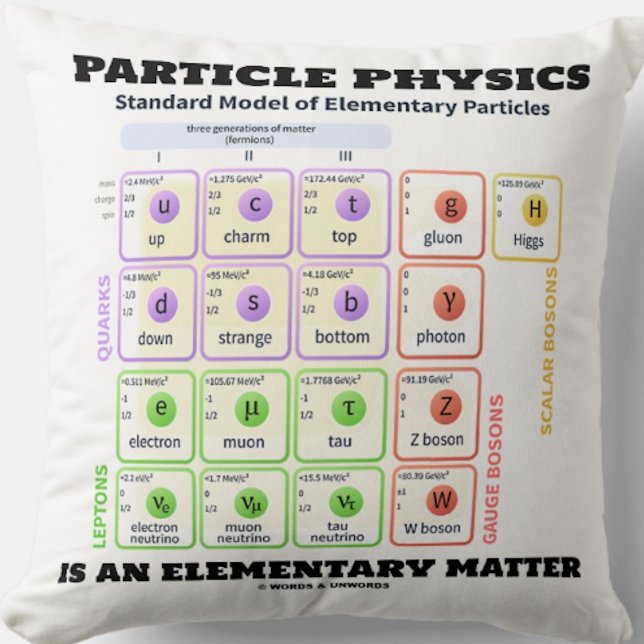 Partikelfysik är en elementär materielmodell kudde (Physics attitude throw pillow for any scientist featuring Standard Model of Elementary Particles)