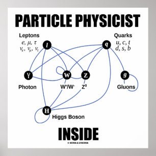 Partikelfysikern inuti (standardmodell Higgs) Poster