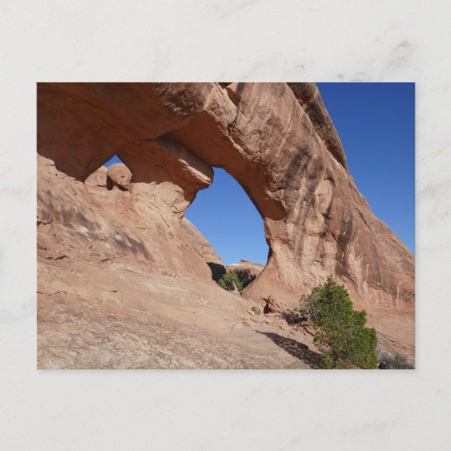Partition Arch II vid Arches National Park Vykort (Framsida)