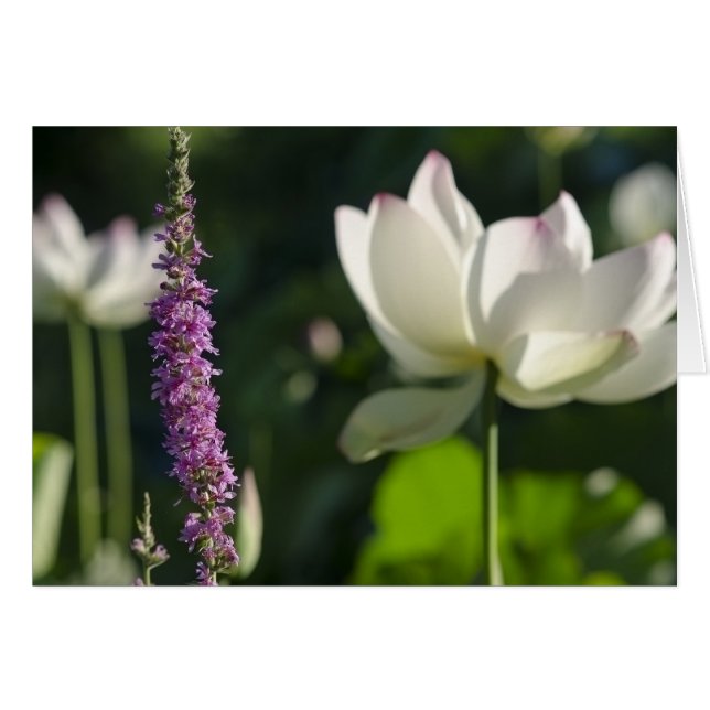 Partners Hälsningskort (Framsidan Horizontal)