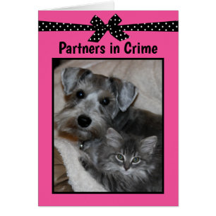 "Partners in Crime" OBS Kort