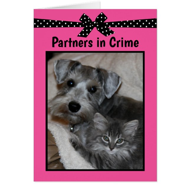"Partners in Crime" OBS Kort (Framsidan)