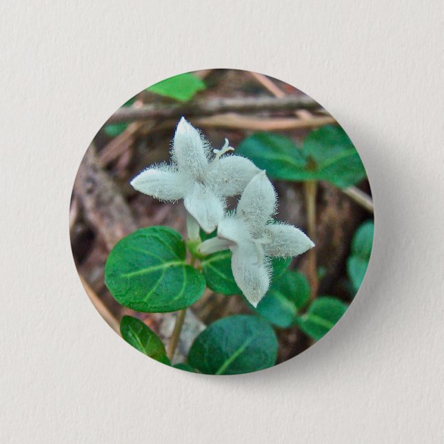Partridge Berry Wildblomma Knapp (Framsida)