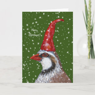 Partridge Gnome julkort Kort