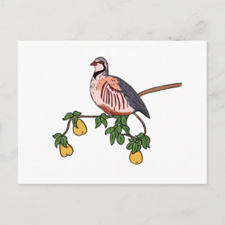 Partridge i Pear Träd Vykort