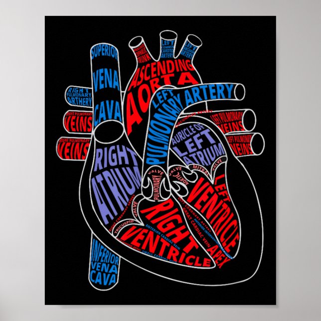 Parts Of Heart Anatomical Heart Gift For Cardiolog Poster (Framsidan)