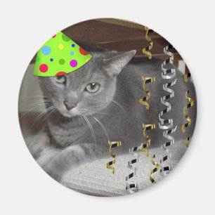 Party Animal Grått Cat Magnet