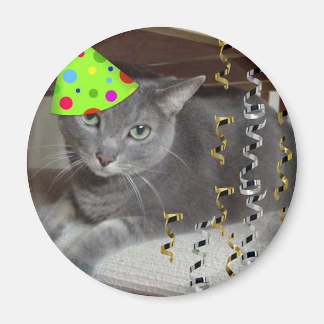Party Animal Grått Cat Magnet (Framsidan)