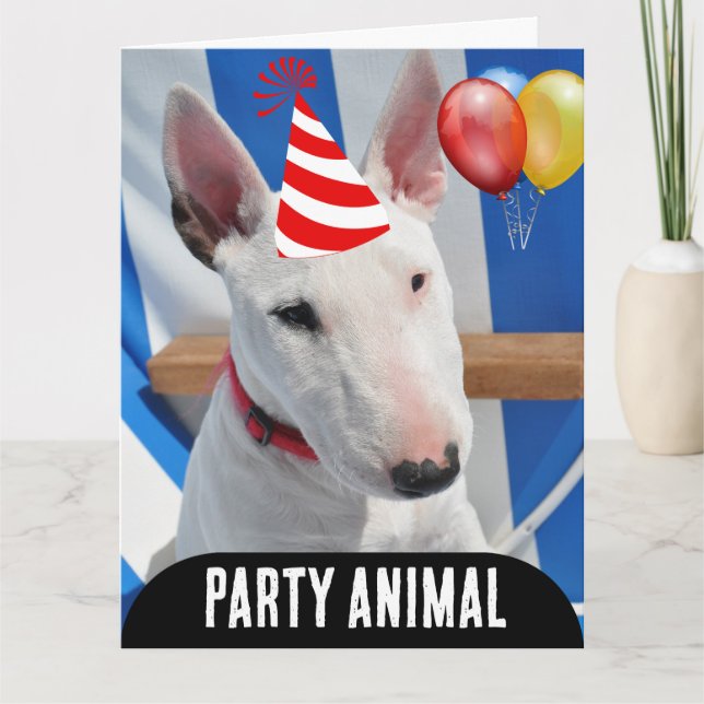 PARTY ANIMAL HUND FUNNY BIRTHDAY CARD KORT (Framsida)