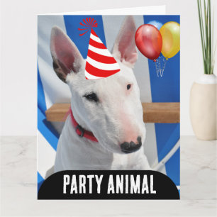 PARTY ANIMAL HUND FUNNY BIRTHDAY CARD KORT