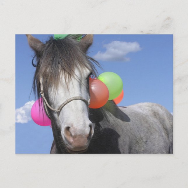 Party Animal Vykort (Framsida)