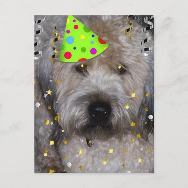 Party Animal Wheaton Terrier Vykort (Framsida)