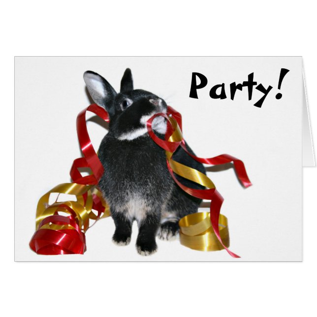 Party bunny hälsningskort (Framsidan Horizontal)