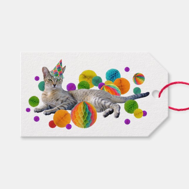 Party Cat Gift Märkres Presentetikett (Framsidan (Horisontell))
