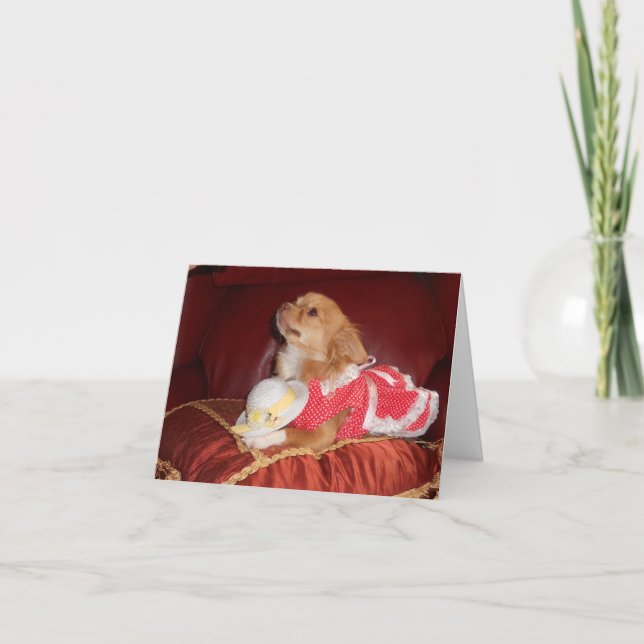 party chi kort (Framsida)