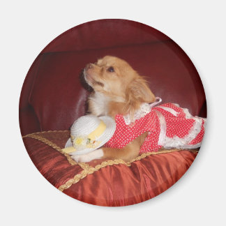 party chi magnet