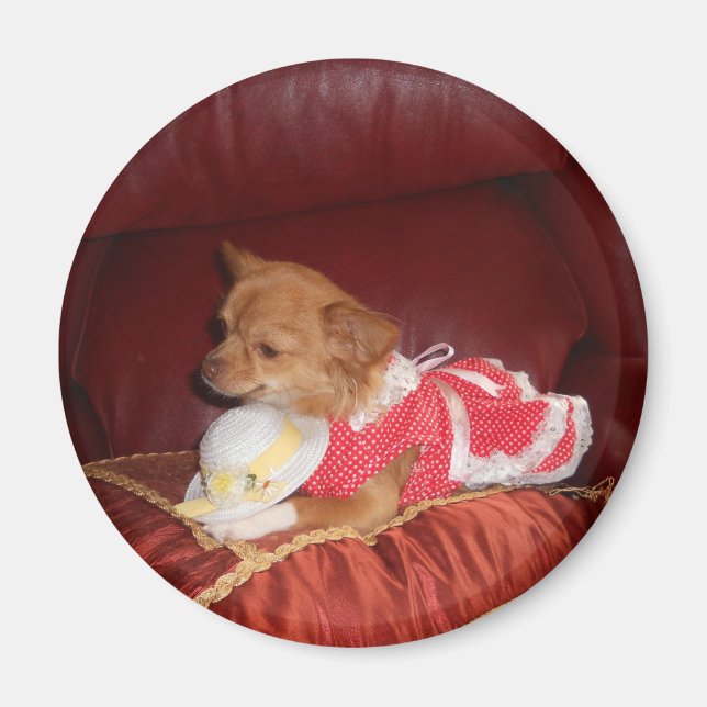 party chi magnet (Framsidan)