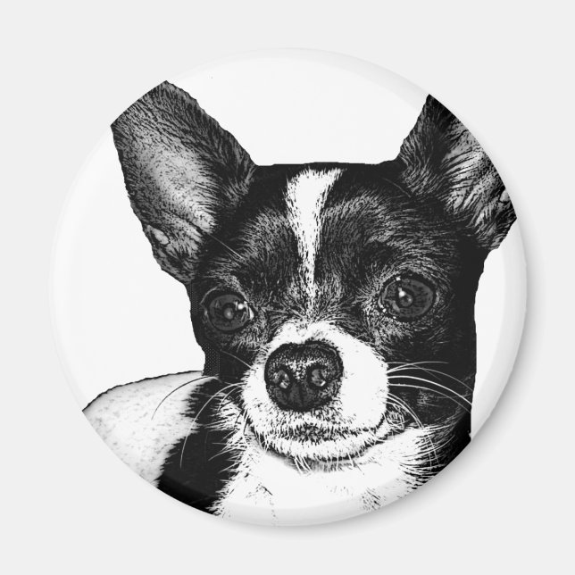 Party Chihuahua Magnet (Framsidan)