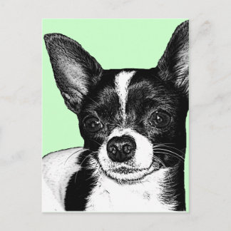Party Chihuahua Vykort