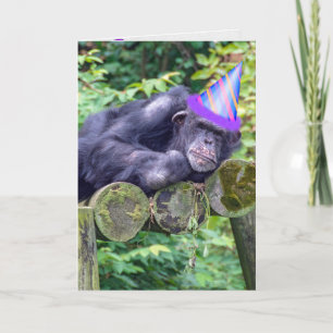 party chimpans för humoristisk födelsedag kort