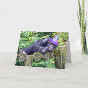 party chimpans för humoristisk födelsedag kort