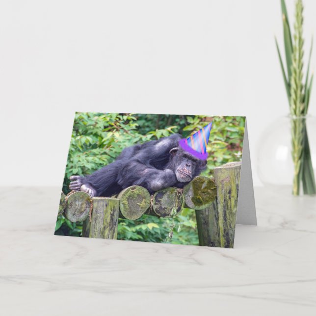 party chimpans för humoristisk födelsedag kort (Framsida)