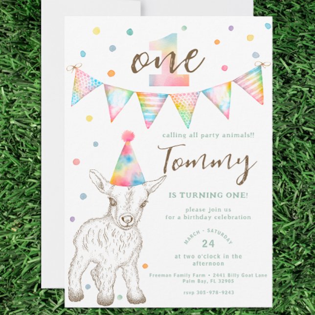 Party-djur 1:a födelsedag Inbjudan | Goat och vänn (Petting Zoo Birthday Invitation)