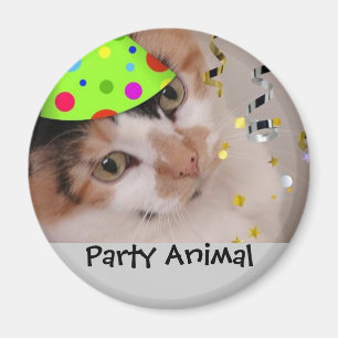 Party-djur/kalkkatjon Magnet