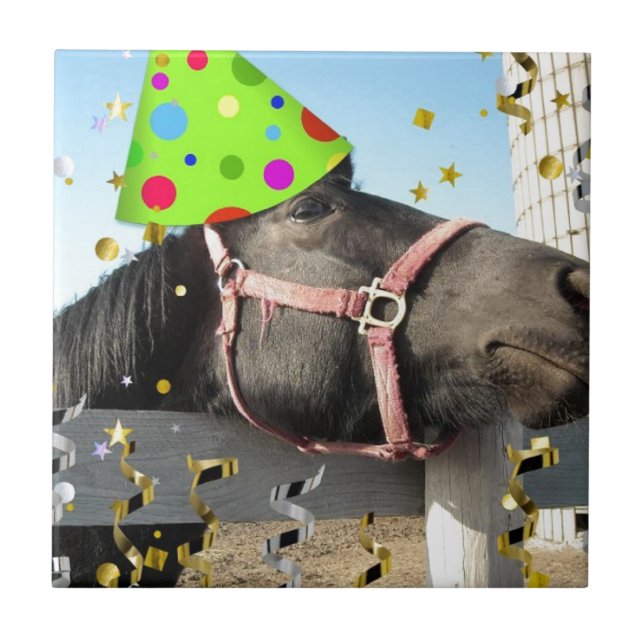 Party Djurhäst Kakelplatta (Framsidan)