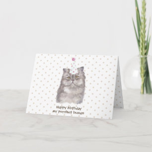 Party firande Hat Persian Cat Birthday Kort