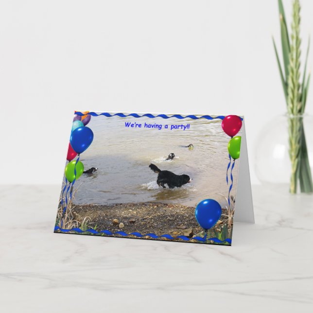 Party för Bernese berghund Kort (Framsida)