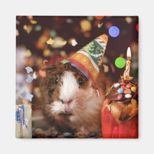 Party Guinea Gris Magnet