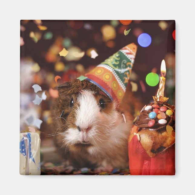Party Guinea Gris Magnet (Framsidan)