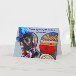 Party Hund Funny Birthday Kort