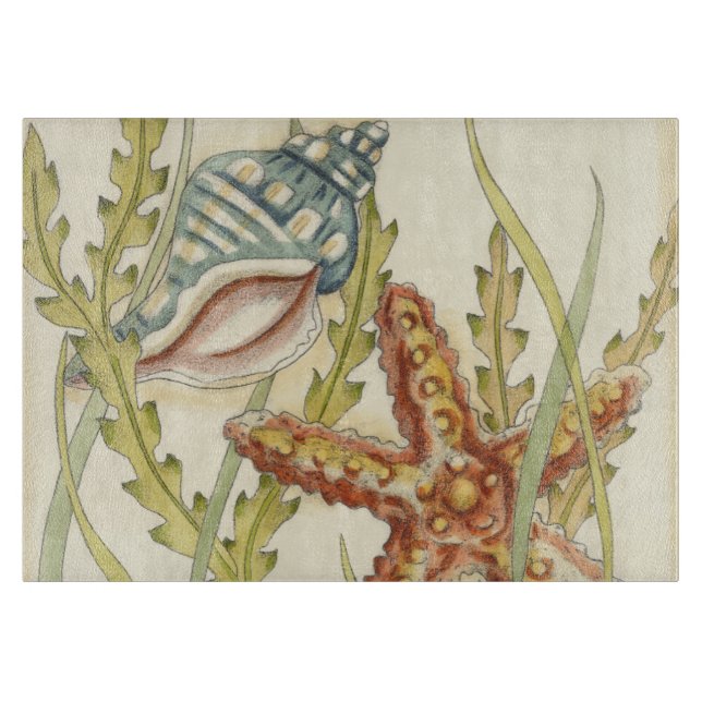 Party i flera Färger Snäckan (Framsidan)