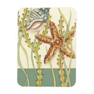 Party i flera Färger Snäckan Magnet