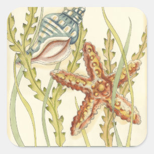 Party i Snäckan vid flera Färg Fyrkantigt Klistermärke