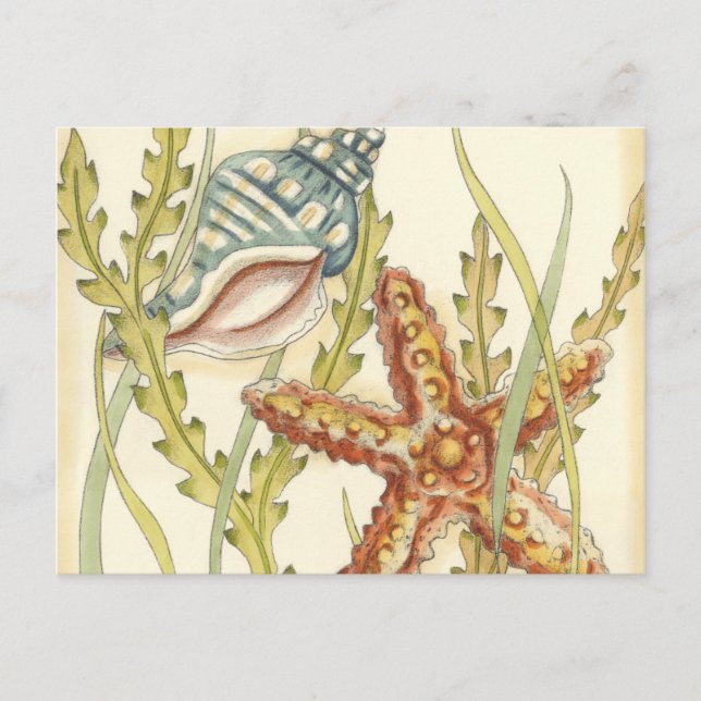 Party i Snäckan vid flera Färg Inbjudan Vykort (Framsida)