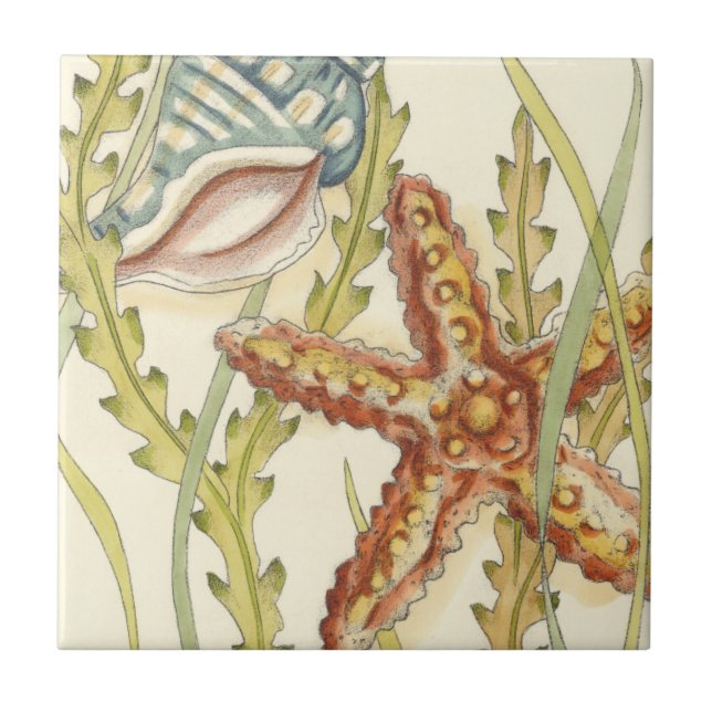 Party i Snäckan vid flera Färg Kakelplatta (Framsidan)