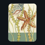 Party i Snäckan vid flera Färg Magnet<br><div class="desc">Charikilia Zarris är en talangfull konstnär som vet om sitt oceankonstverk. Hennes bilder är fredligt och lugnen avspänner dig med varje bild. Skaffa den här nautiska biet av konstverk med en stjärnfisk och en Conch-snäcka som är centrum för allt, gränsad till ett vackert kelp. Den här bilden kommer att se...</div>