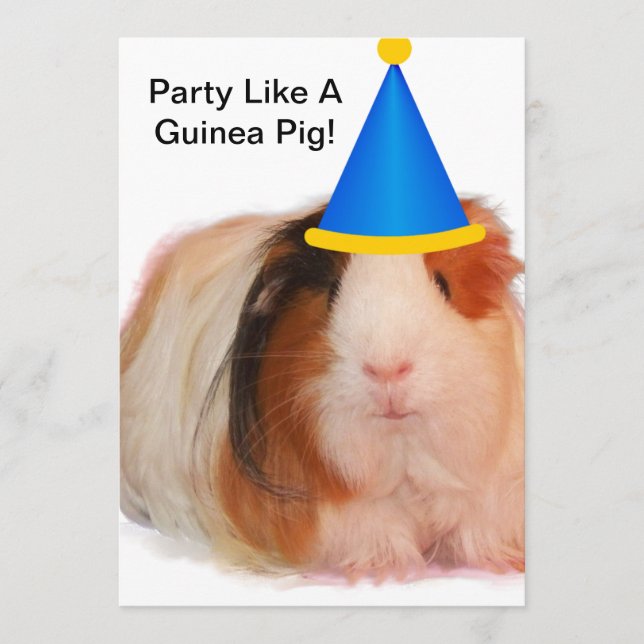 Party Like A Guinea Pig - Party Invitations Inbjudningar (Framsida)